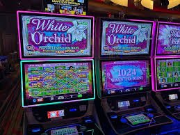888f slot